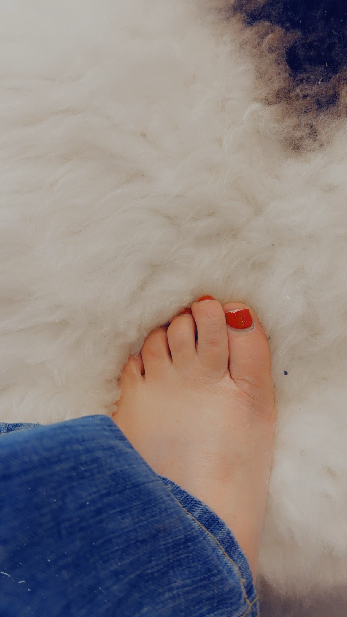 Sheepskin rug