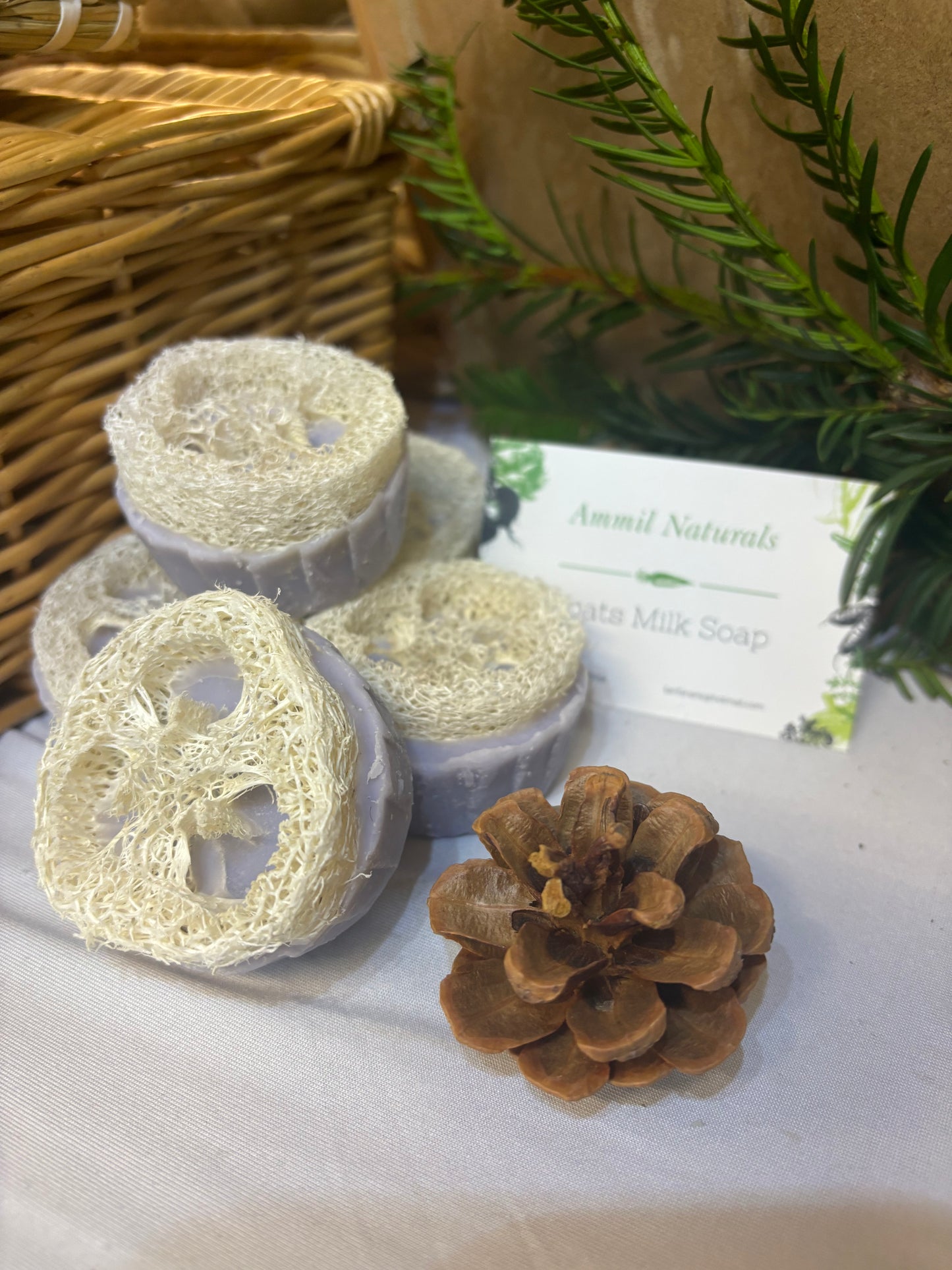 Goats milk soap with loofah